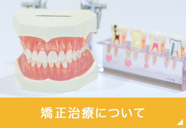 矯正歯科