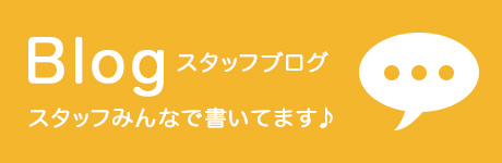 スタッフブログ