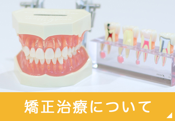 矯正歯科